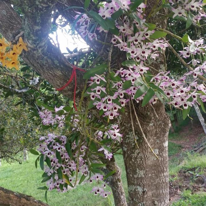 Linda Casa De Campo Viamao Ngoại thất bức ảnh